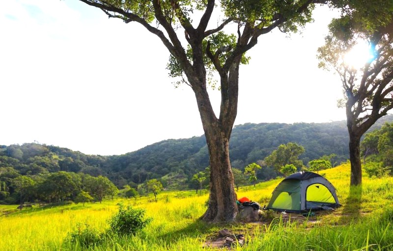 Tiếng chim hót, nắng sớm rạng rỡ, trải nghiệm tuyệt vời khi trekking Núi Chúa tự túc.