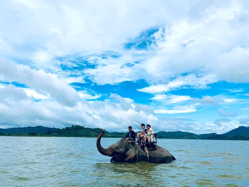 Cưỡi voi trên Hồ Lắk, trải nghiệm khó quên!