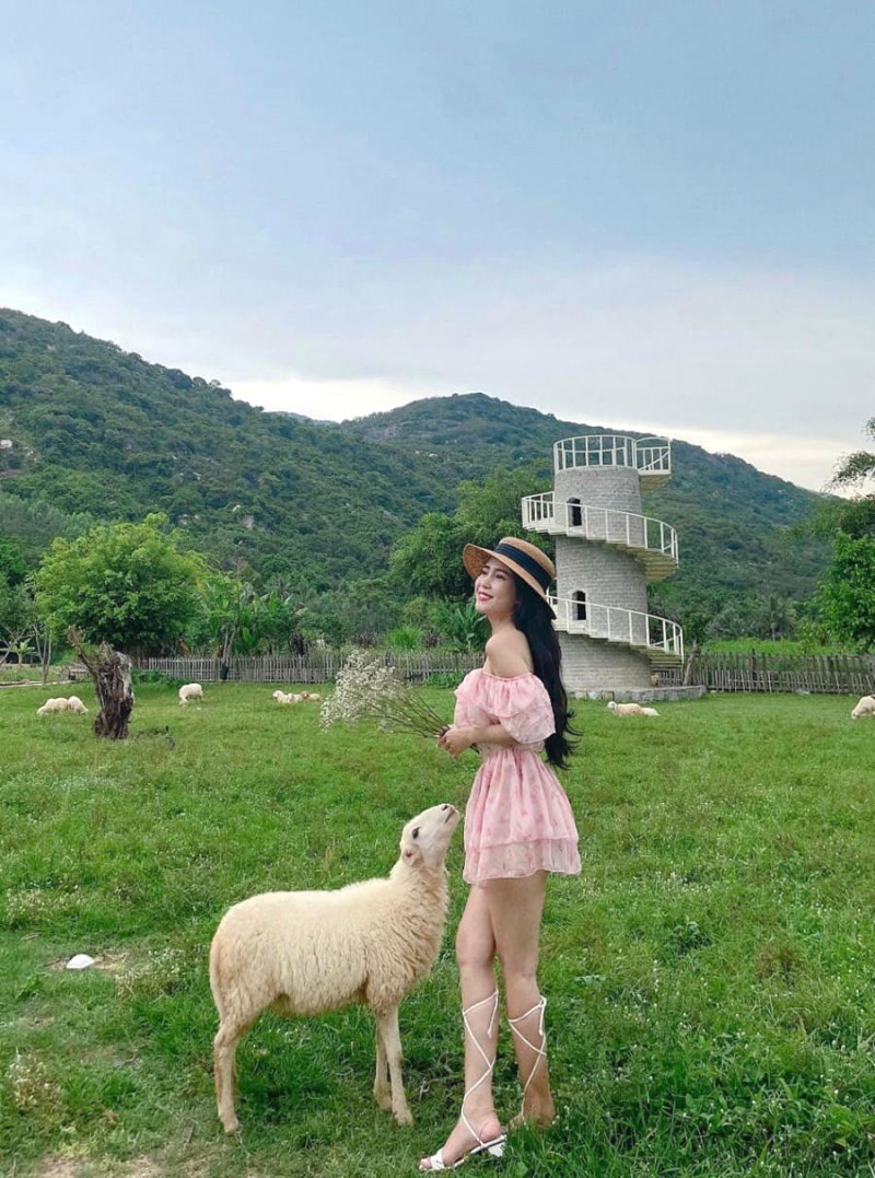 Sống ảo cực chất với đàn cừu đáng yêu tại Đồng Cừu Suối Tiên! 🐑📸