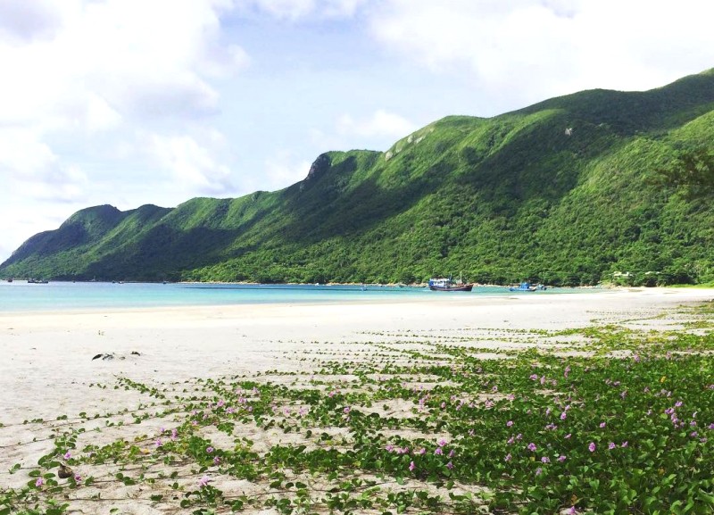 An Hải Côn Đảo: Thiên nhiên hoang sơ, sống động.