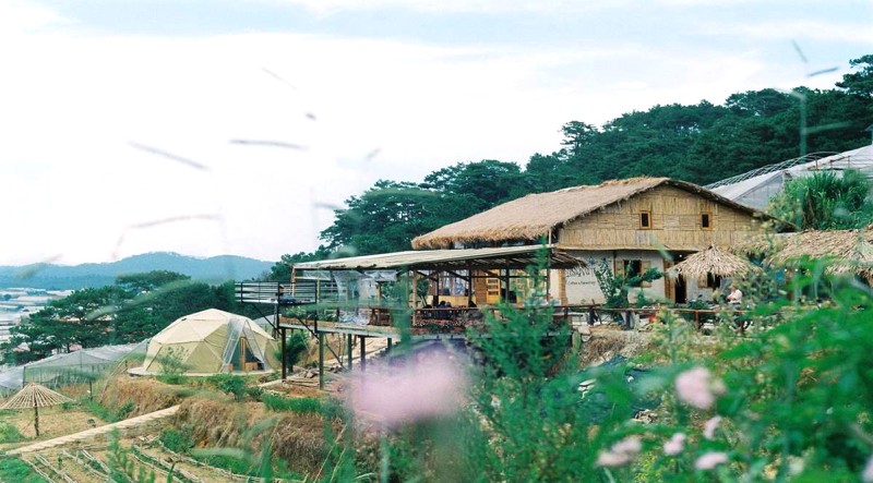 The Organic Life: View đẹp, không khí trong lành trên đồi.