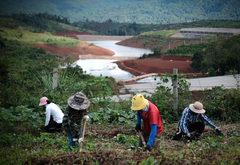 Tu nghiệp và trải nghiệm tại Orfarm Măng Đen. Ảnh: Orfarm