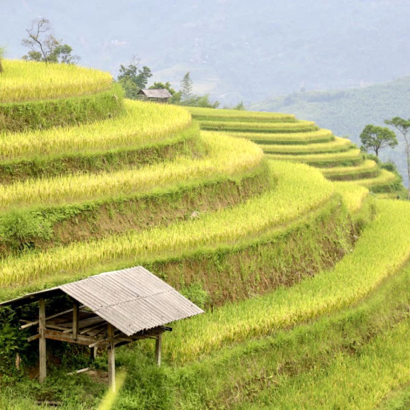 Hoàng Su Phì, viên ngọc quý của cao nguyên đá, được thiên nhiên ưu ái ban tặng cảnh sắc tuyệt mỹ.