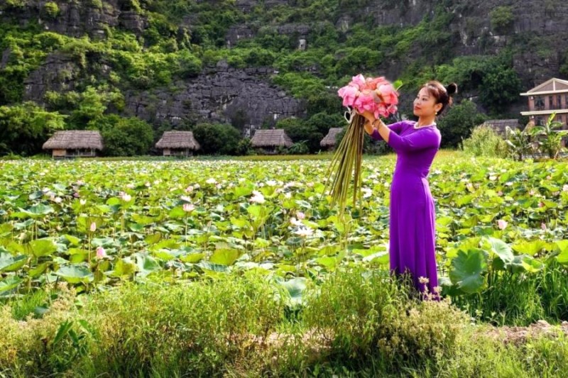 Chụp ảnh và hái sen bên hồ