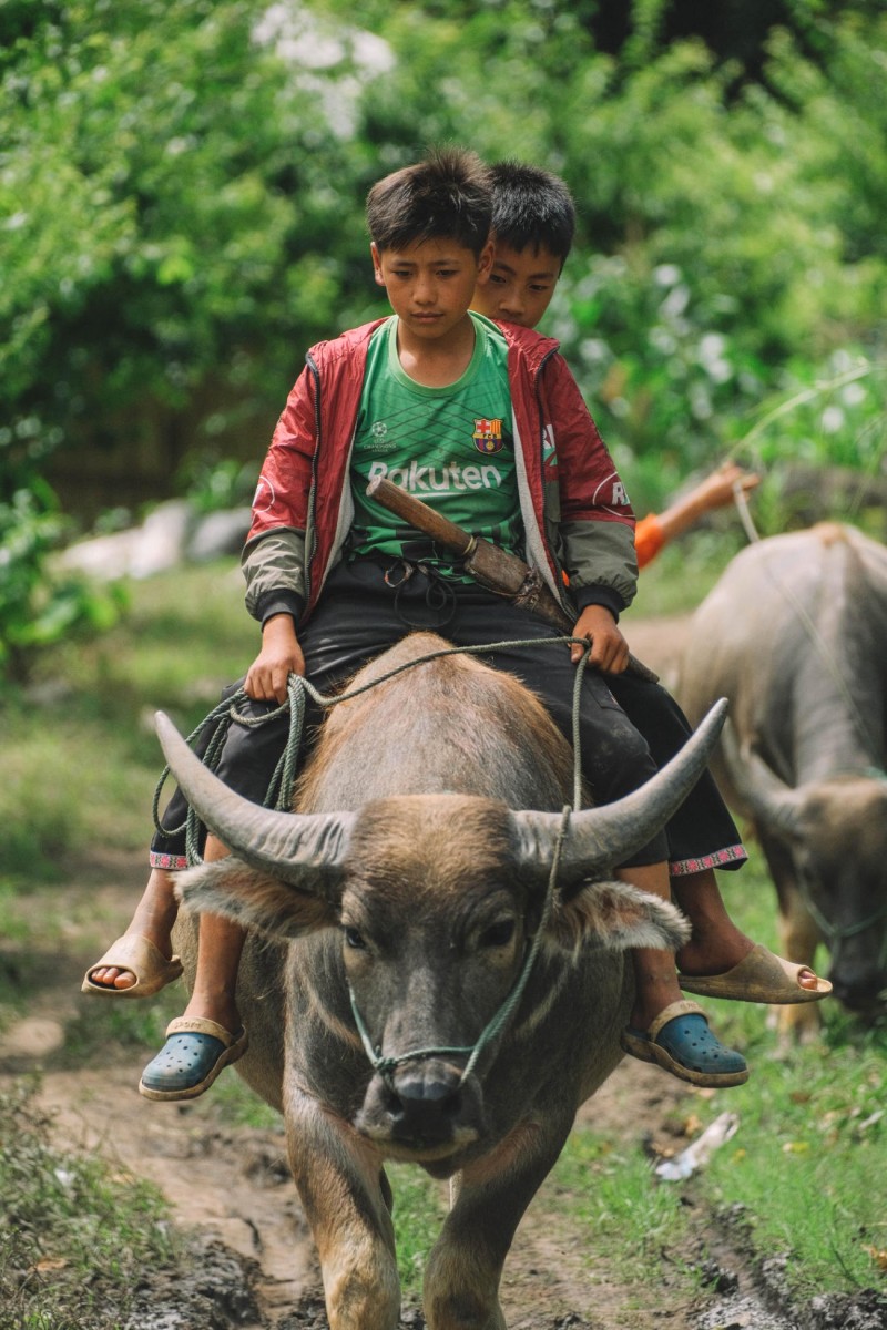 Lăng kính nghệ thuật của Lạc khắc họa đời thường bình dị, mộc mạc của người dân vùng cao.