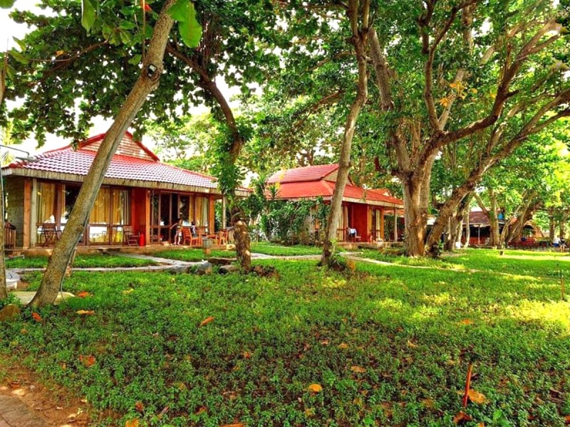 Tân Sơn Nhất Resort: Yên bình giữa cây xanh.