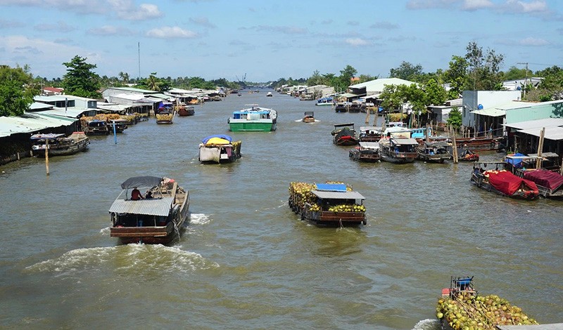 Chợ nổi Dừa Bến Tre: Nét đẹp sông Thom.