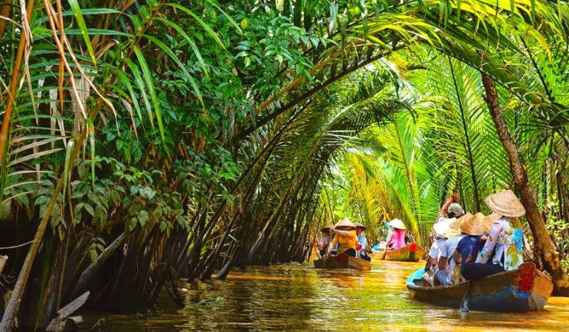 Xuồng chèo, phương tiện gắn bó với người dân Bến Tre,  thích nghi với địa hình sông nước.