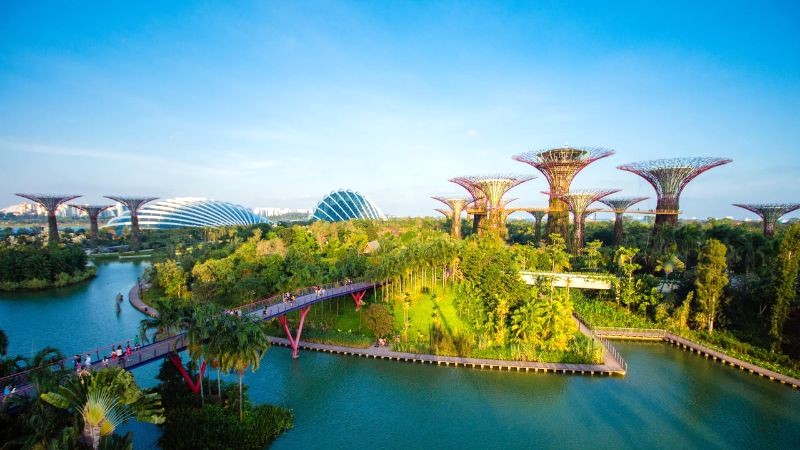 Vườn Gardens by the Bay đưa Singapore lên bản đồ du lịch thế giới.