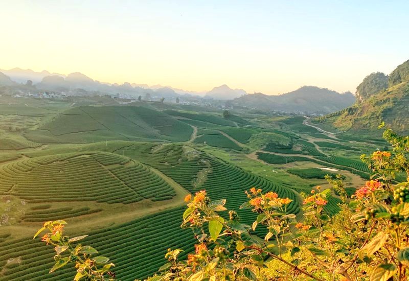 Hoài Việt lang thang Mộc Châu, tìm vẻ đẹp bình dị giữa thiên nhiên hoang sơ.