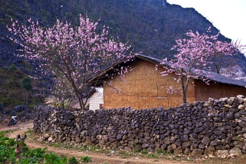 Phố Cáo: Bình yên thơ mộng.