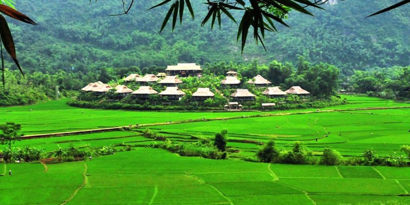 Mai Châu Ecolodge: Nơi nghỉ dưỡng giữa núi rừng Tây Bắc.