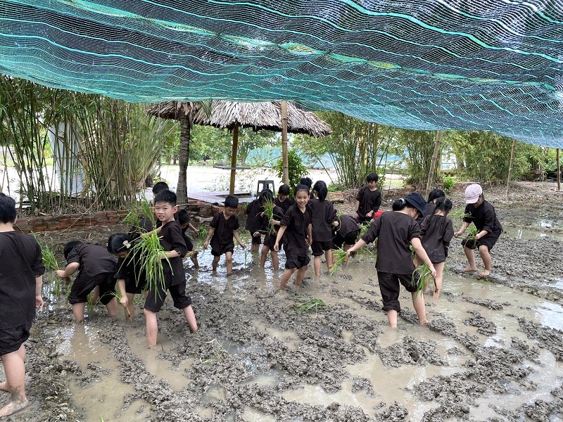 Tre Việt: Khu vui chơi trẻ em.