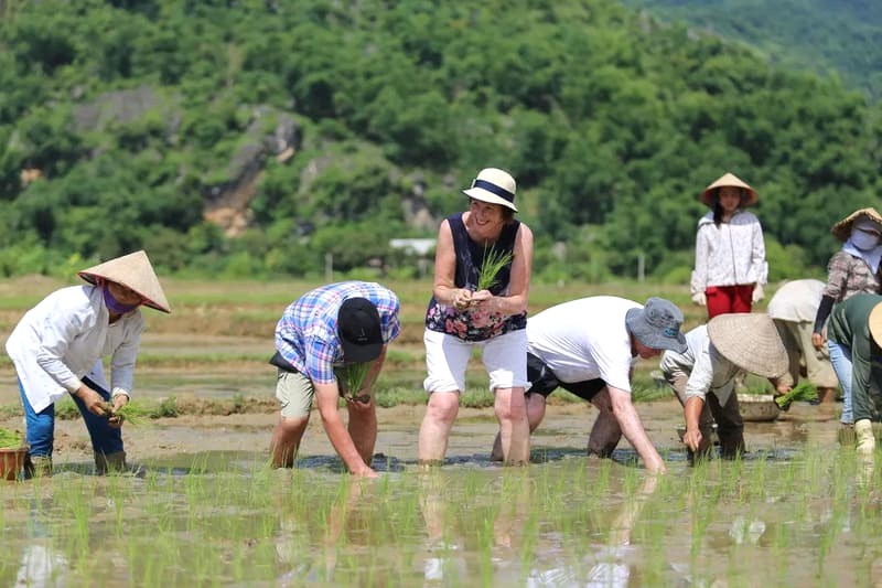 Mai Châu Ecolodge: Nơi nghỉ dưỡng giữa núi rừng.