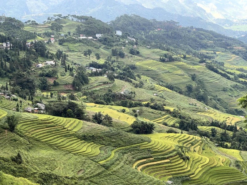 Thửa ruộng bậc thang trải dài, tạo nên khung cảnh kỳ vĩ, khiến bao người say đắm.