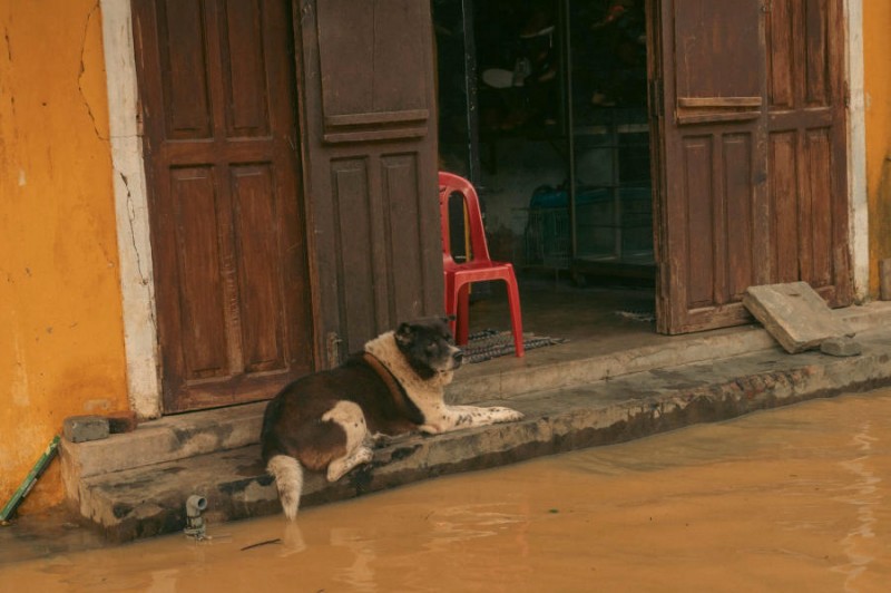 Bình yên nơi đây xoa dịu nỗi sợ bão Noru.