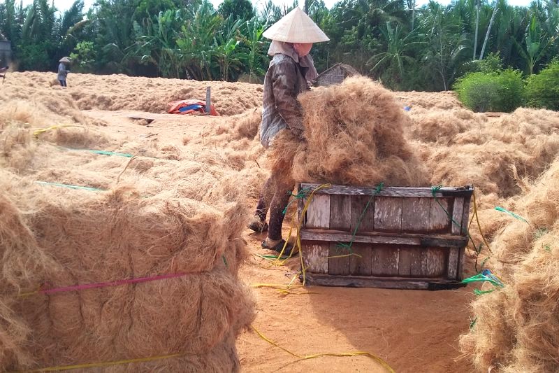 Làng nghề chỉ xơ dừa An Thạnh (Bến Tre) là một trong hai vựa lớn nhất miền Tây, chỉ sau Đồng Tháp.