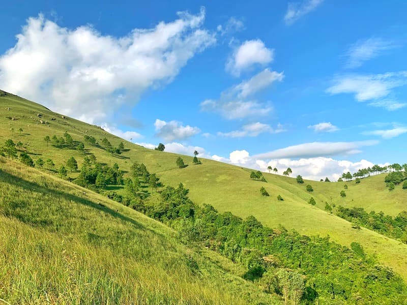 Cuối năm, Đỉnh Phượng Hoàng là điểm đến lý tưởng cho picnic, cắm trại với bầu không khí trong lành, yên bình.