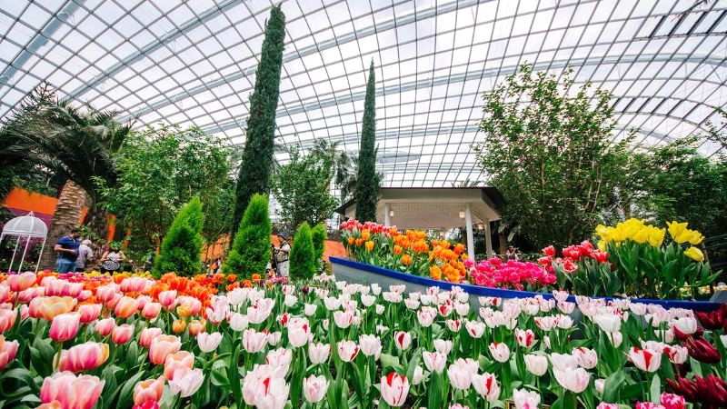 Flower Dome của Gardens by the Bay giữ kỷ lục Guinness.