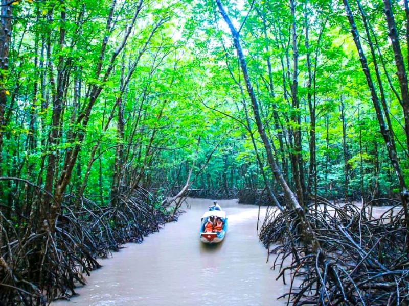 Khám phá Cà Mau bằng vỏ lãi 5 chỗ từ bến tàu Công viên Văn hóa Du Lịch.