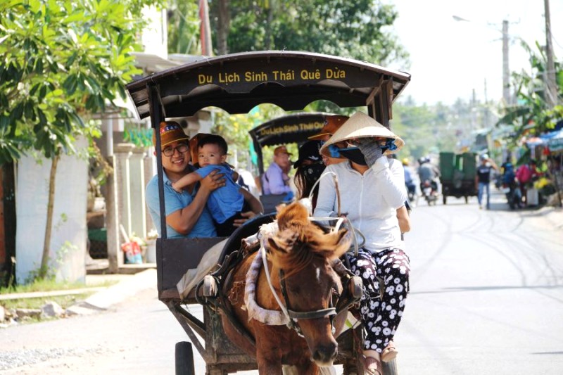 Người dân Bến Tre thử nghiệm dịch vụ thuê xe ngựa.