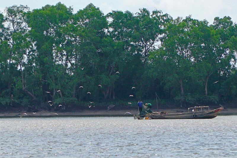 Sân chim Vàm Hồ sở hữu thảm thực vật đa dạng với dừa nước, chà là, đước ở tầng cao, là nơi lý tưởng cho chim lưu trú. Dưới thấp, đước bôi, bụp tra, ô rô,... tạo môi trường lý tưởng cho cò, vạc làm tổ sinh sản.