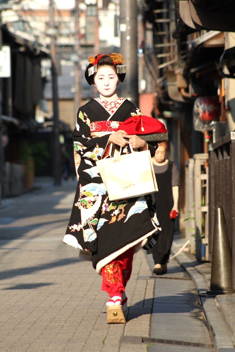 Maiko là Geisha tập sự.