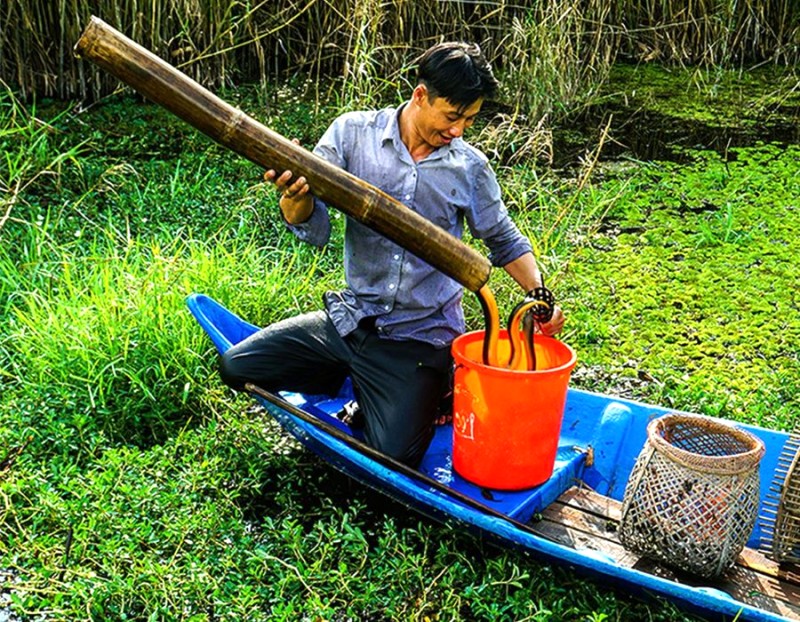 Nông dân thu hoạch mùa màng. (42 ký tự)