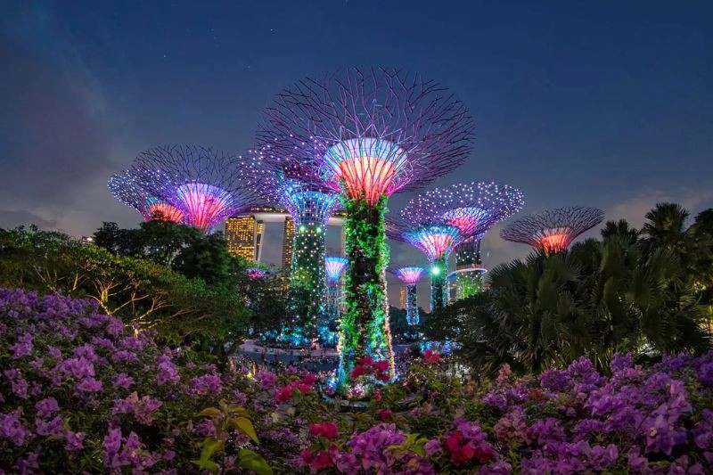 Siêu cây Gardens by the Bay lung linh huyền ảo khi lên đèn.