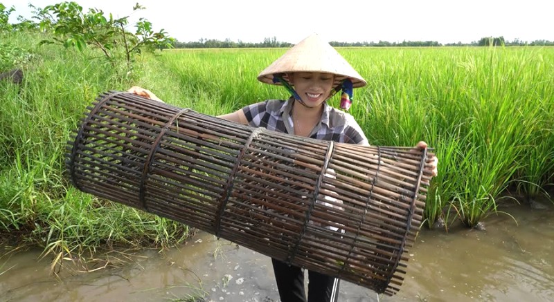 Lờ lớn đặt đầu nguồn, lưới chắc chắn để bắt cá to.