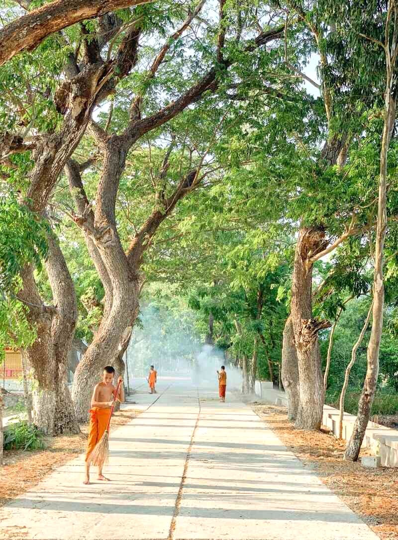 Hàng cây còng thơ mộng tô điểm cho khuôn viên chùa, thu hút giới trẻ An Giang check-in.