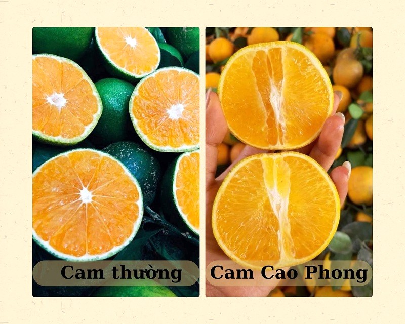 Cam Cao Phong vỏ vàng nhạt.