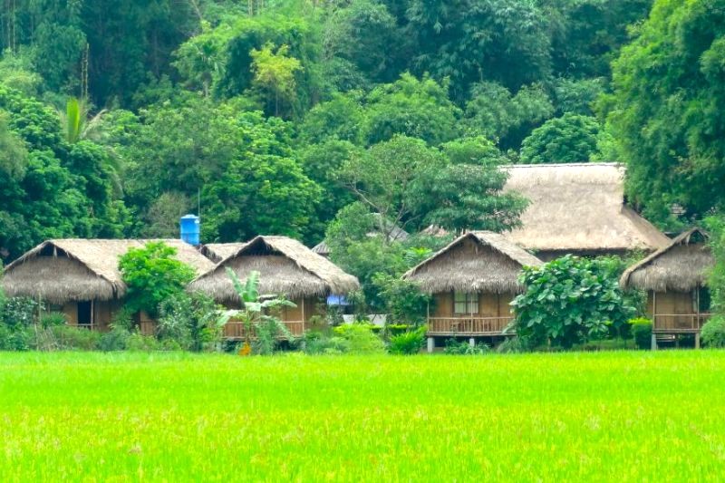 Nghênh Xuân Farmstay: Cảnh đẹp như tranh!