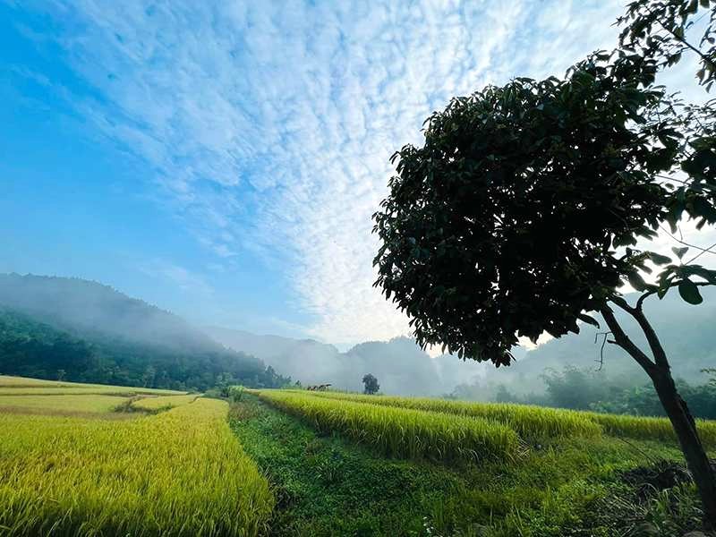 Đồng nội xanh rì, khung cảnh yên bình khiến ai cũng ngẩn ngơ.