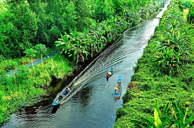 Khám phá U Minh Hạ bằng xuồng.