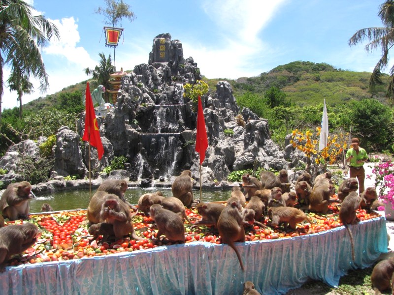 Lẩu trái cây khỉ 🐒🍓🍌