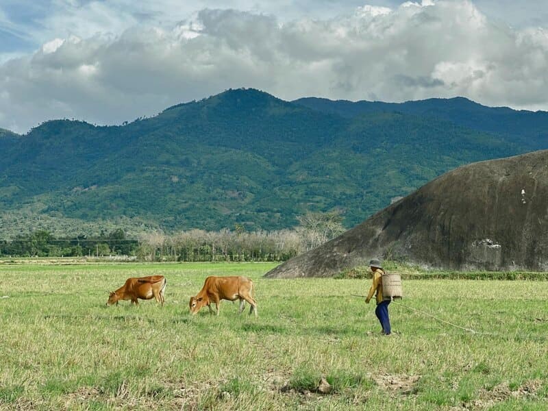 Buôn Ma Thuột, với khung cảnh xanh mát, quyến rũ du khách bởi vẻ đẹp say đắm.