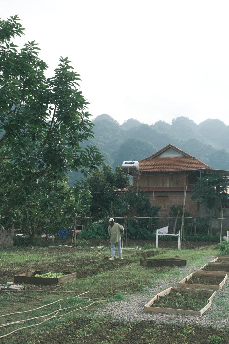 Góc vườn homestay bình dị, mộc mạc.