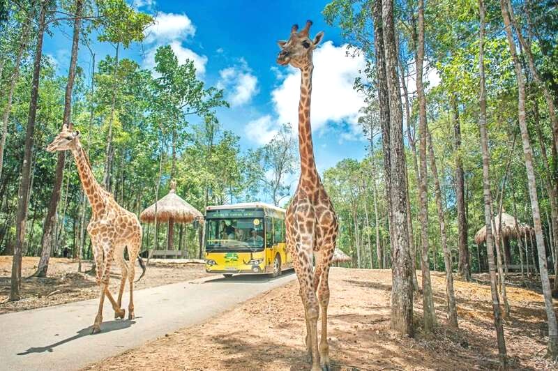 Vinpearl Safari: Điểm đến lý tưởng cho gia đình tại Phú Quốc.