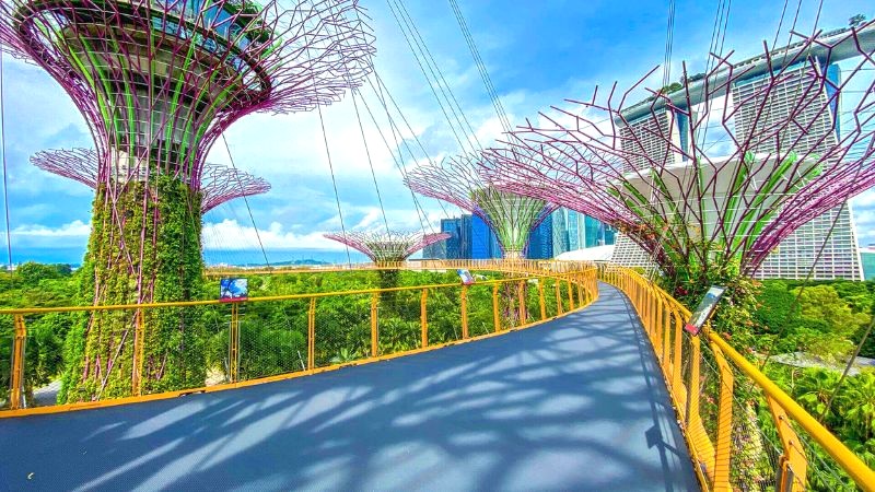 OCBC Skyway: Cầu lơ lửng 22m.