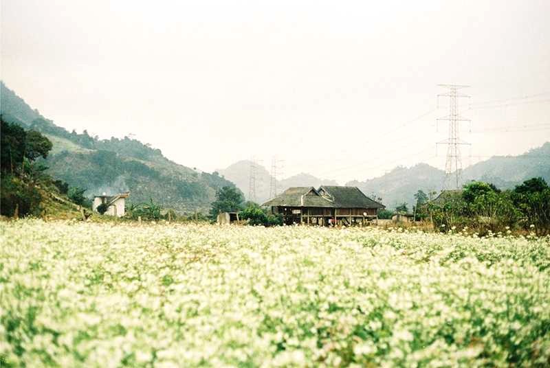 Bản Pa Phách đẹp như chốn bồng lai, khiến du khách ngỡ ngàng.