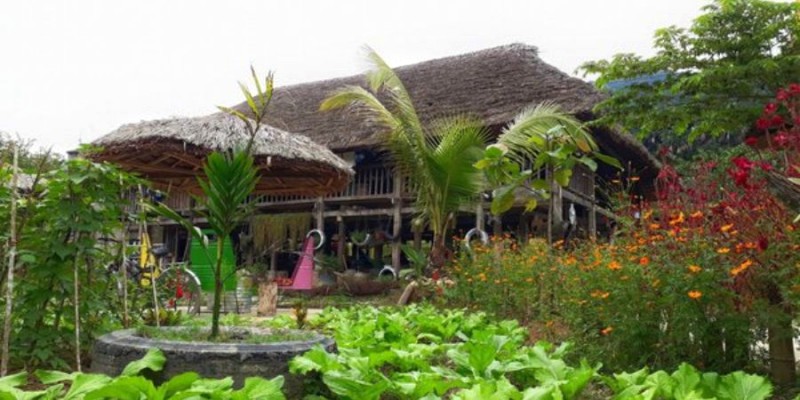 Không gian tĩnh lặng quanh homestay