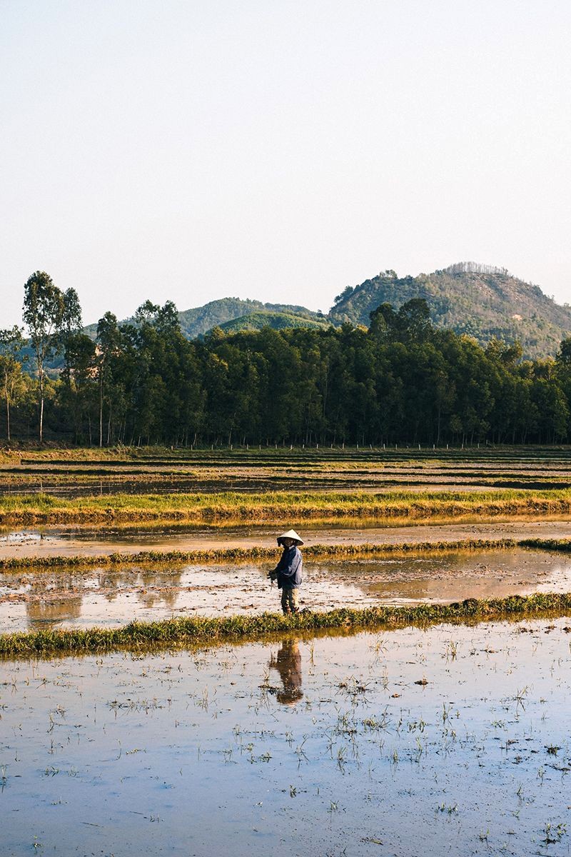 Nụ cười rạng rỡ của người nông dân Hội An, tay lấm lem bùn đất, là biểu tượng của làng quê, vẽ nên nét đẹp lao động  hòa hợp giữa người và đất.