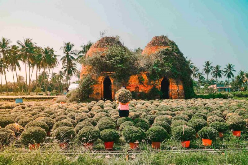 Thơ mộng, hữu tình tại Làng hoa Cái Mơn.