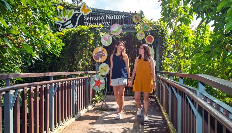 Khám phá thế giới thực vật độc đáo chỉ có ở Sentosa Nature Discovery.