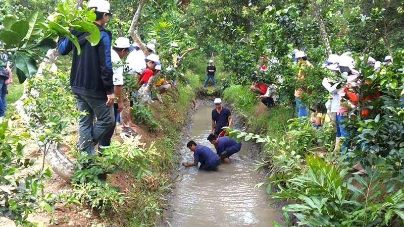 Hóa thân nông dân Bến Tre, trải nghiệm vườn trái cây thú vị.