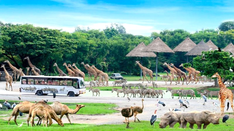 Khám phá thế giới hoang dã tại Safari World Bangkok.