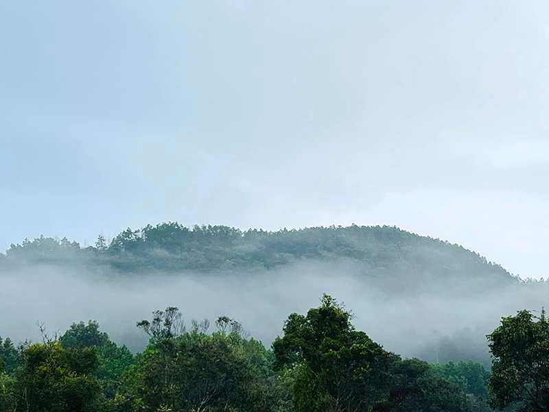 Kỳ Thượng săn mây, nhanh chân lên!