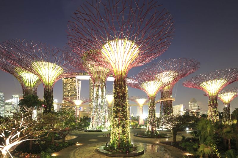 Supertree Grove: Vẻ đẹp kỳ vĩ của Gardens by the Bay.