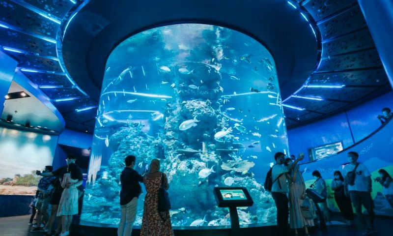 Khám phá đại dương mênh mông tại SEA Aquarium, Singapore.